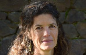 Shared opportunities for action