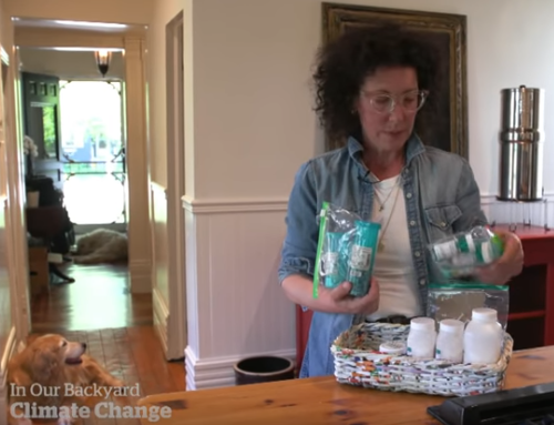 In Our Backyard: How climate change can impact your health