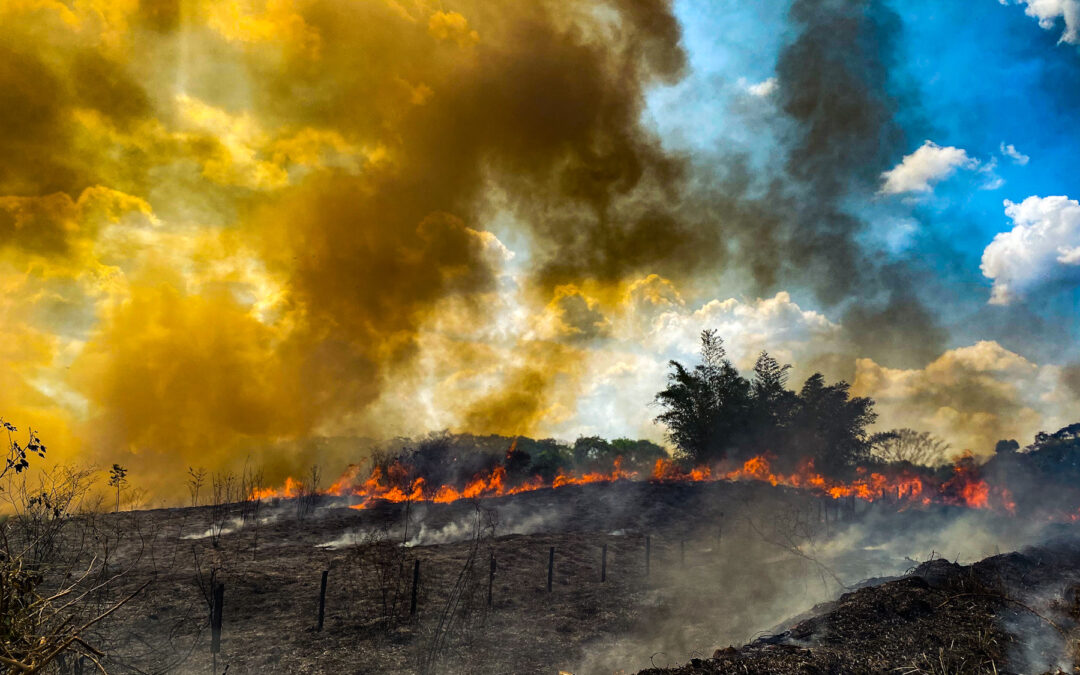 IPCC Climate Report: National Leaders Must Act on Climate Crisis to Ensure Human Health and Safety