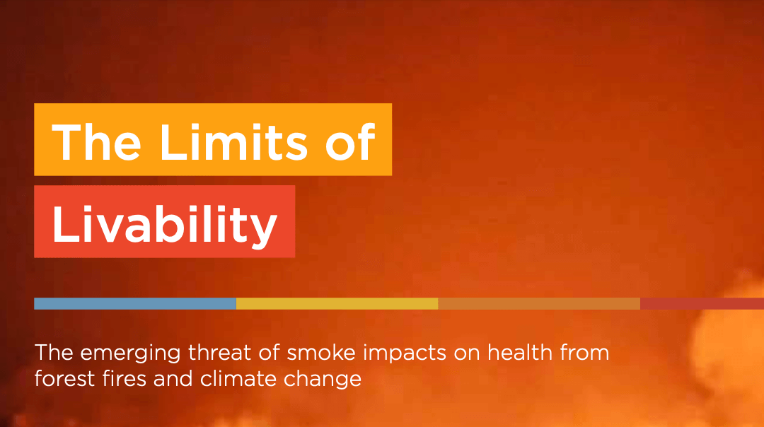 Forest Fire Smoke Driving Increased Health Risks from Air Pollution Worldwide – Report