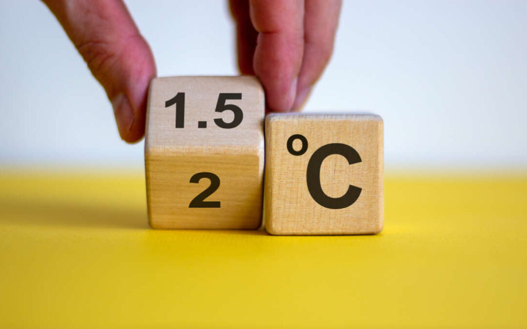 GCHA and HCN Joint Submission to the Global Stocktake