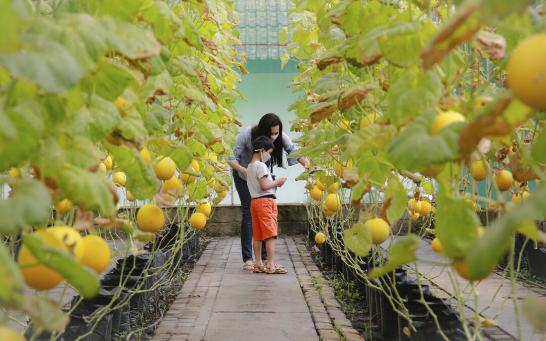 Informe climático de mitigación del IPCC: la salud y la equidad deben estar en el centro de la política climática