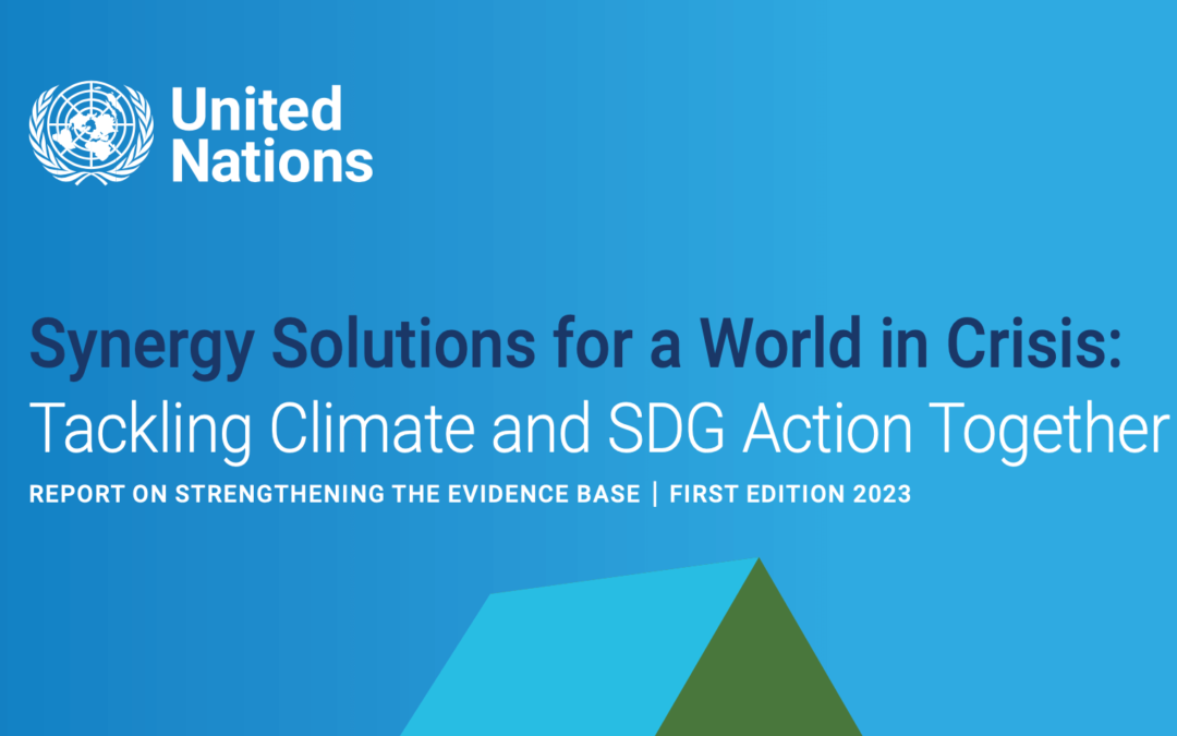 UN Publication Quotes GCHA’s Healthy NDC Scorecards