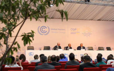 Priorities for a Healthy COP28