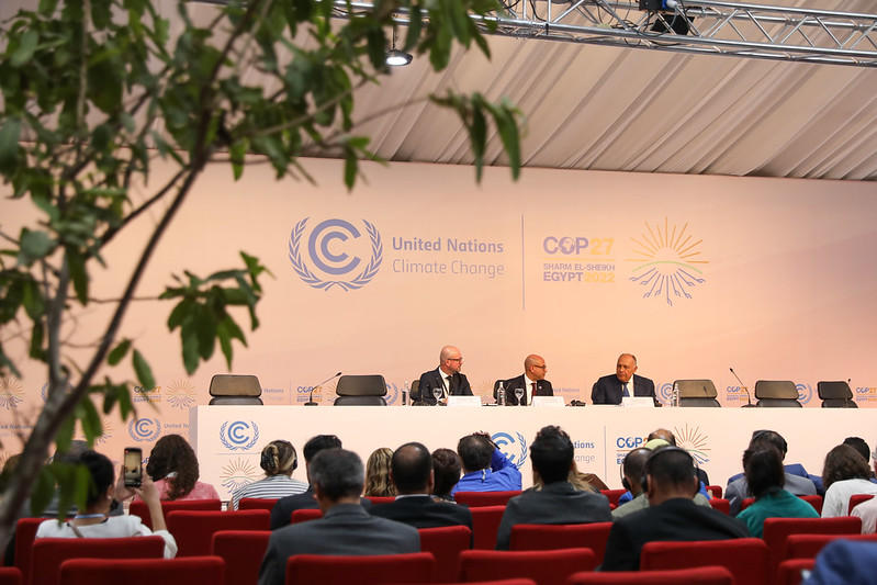 Priorities for a Healthy COP28