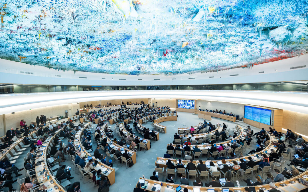 World Health Assembly: Health Professionals Demand Urgent Action on Climate Commitments