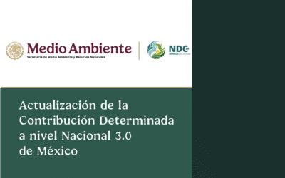COP30: Health Community Welcomes Mexico’s Landmark Climate Commitments